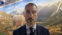 Simone Mellano, direttore di Asprocarne Piemonte