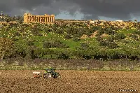 Progetto Diodoros nella Valle dei Templi