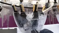 Terra di Lavoro Wines 2025, Caserta
