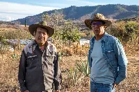 Velier, Progetto Palenque Spirits. Volti dei protagonisti e immagini delle piante di agave e della distillazione