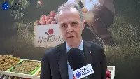 Augusto Renella, Export Coordinator Marketing R&D Manager di Naturitalia