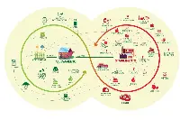 Inalca - grafico Economia circolare e rigenerativa della filiera bovina