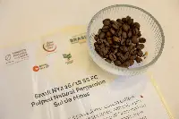 Giornata internazionale del caffè, presentazione rapporto AstraRicerche a Roma, 1/10/2025