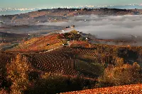 Cantina Terre del Barolo
