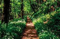 Strada del biologico e dei sapori della Val di Vara