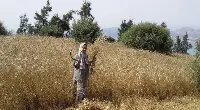 Agricoltori in Marocco