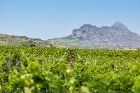 Vigneti Monreale DOC