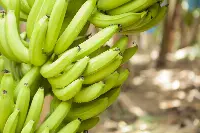 Banane Chiquita