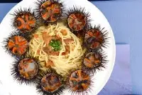 Spaghetti e ricci di mare
