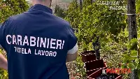 Ispettorato del Lavoro Piacenza