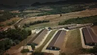 La zona su cui dovrebbe sorgere l'allevamento Fileni in Valmarecchia