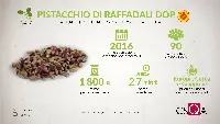 Infografica Pistacchio di Raffadali DOP