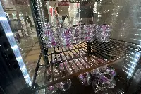 Fiori eduli Insalata dell'Orto - Macfrut 2026