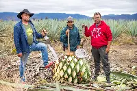 Velier, Progetto Palenque Spirits. Volti dei protagonisti e immagini delle piante di agave e della distillazione