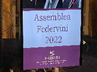 Assemblea Federvini