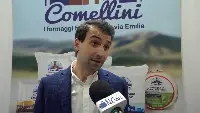 Luca Comellini, Ad