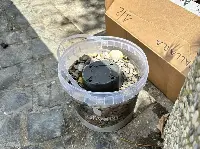 Telline vendute sul litorale di ad Anzio