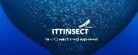 Ittinsect
