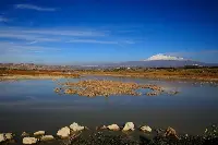Riserva Naturale Orientata Oasi del Simeto