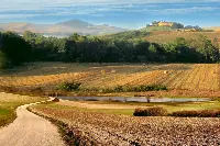 Colline toscane