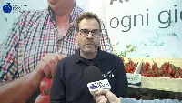 Paolo Pesaresi, Unit Portfolio Activation Lead Vegetables by Bayer Italia