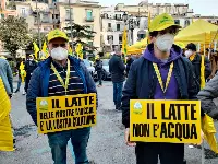 Latte, esplode la protesta nelle piazze d'Italia