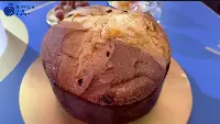 Panettone Motta