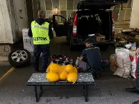 Dogane sequestro alimenti